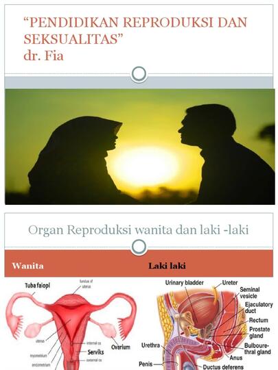 Kenapa Guru Pelajaran Biologi, Ketika Membahas Reproduksi Tidak Diterangkan Detil?