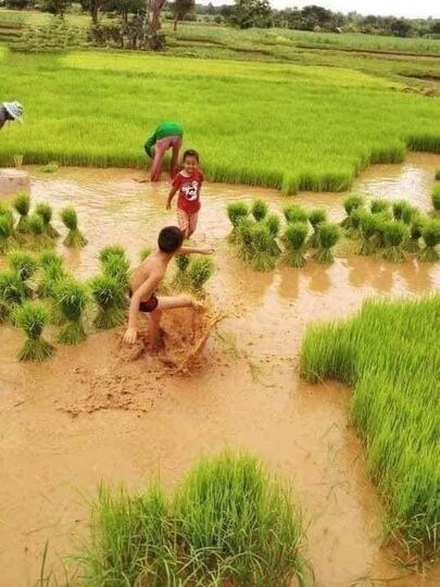 Kok Tega, Orang Tua Memeras Tenaga Anaknya yang Masih Kecil