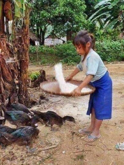 Kok Tega, Orang Tua Memeras Tenaga Anaknya yang Masih Kecil