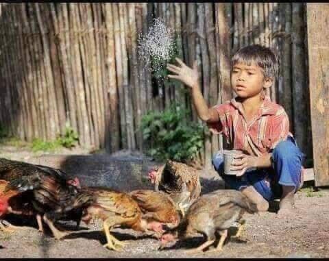 Kok Tega, Orang Tua Memeras Tenaga Anaknya yang Masih Kecil