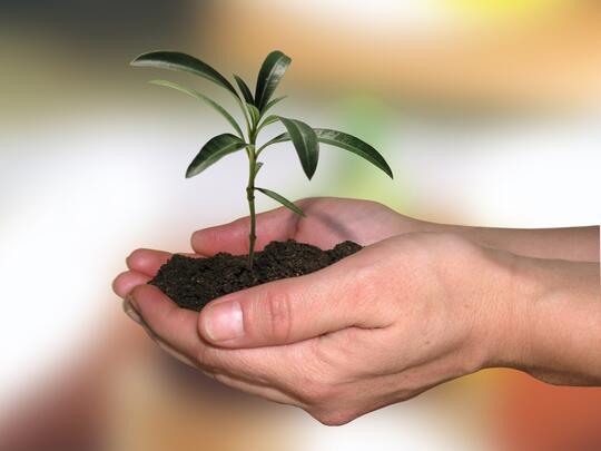 Dear Everyone, Bumi Sedang Alami Proses Kepunahan Massal Keenam