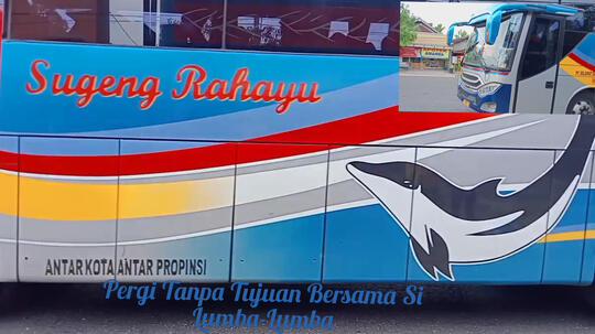 Pergi Tanpa Tujuan Bersama Si Lumba-Lumba