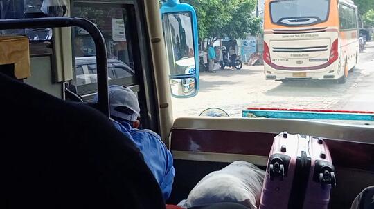 Pergi Tanpa Tujuan Bersama Si Lumba-Lumba
