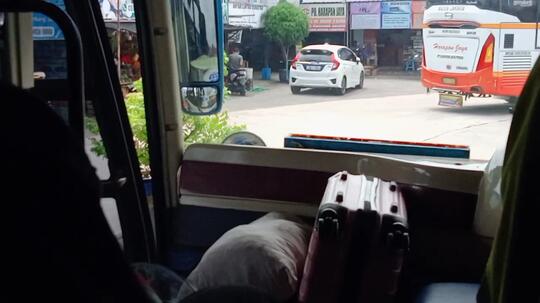 Pergi Tanpa Tujuan Bersama Si Lumba-Lumba