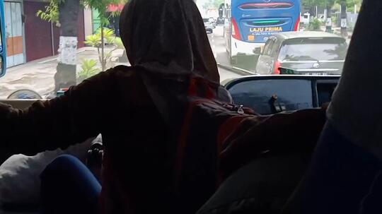 Pergi Tanpa Tujuan Bersama Si Lumba-Lumba