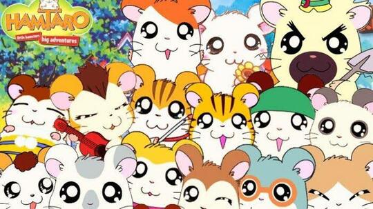 Mengenang Jadwal Kartun Minggu Pagi RCTI Tanggal 21 Desember 2003
