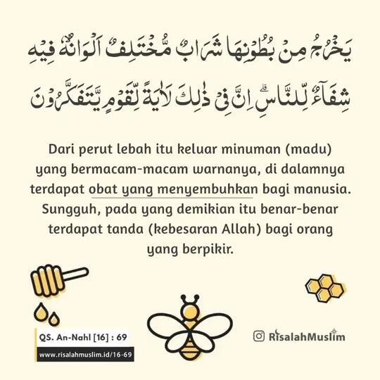 Jika Dunia Tanpa Lebah?, Apa Yang Terjadi?!