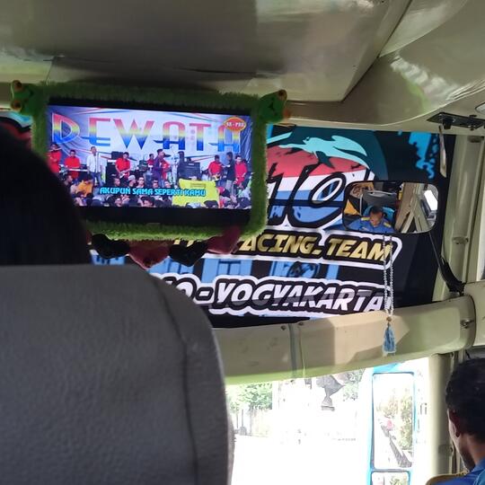 Diiringi Irama Kendang Dangdut Koplo, Si Lumba-Lumba Membelah Hutan Ngawi