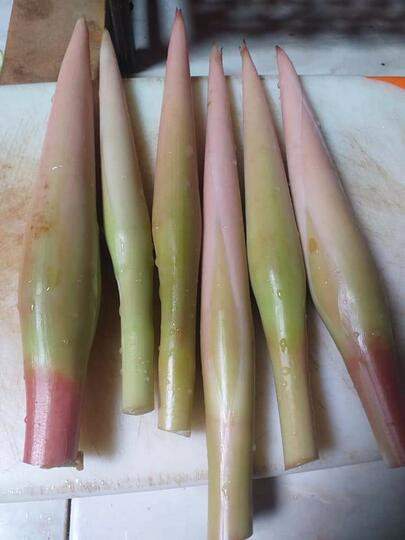 Bunga Kecombrang Bisa Bikin Masakan Tambah Sedap