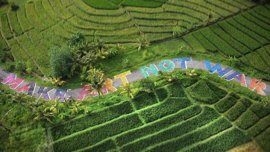 Keren Banget! Kasih Pesan untuk Dunia Pakai Karya Seni dari Barang Bekas!