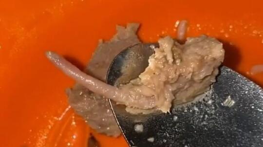 Waspada Jajan Baso,Mulai dari Berbahan Daging Tikus Sampai Berbelatung Sering Ditemui