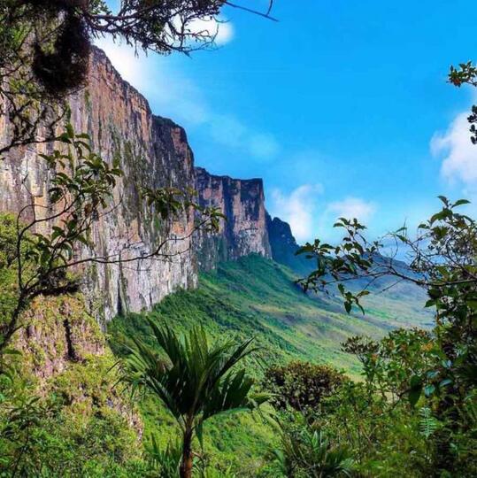 Unik, Gunung Roraima ini Puncaknya Datar Loh dan Menjadi Primadona Para Pendaki