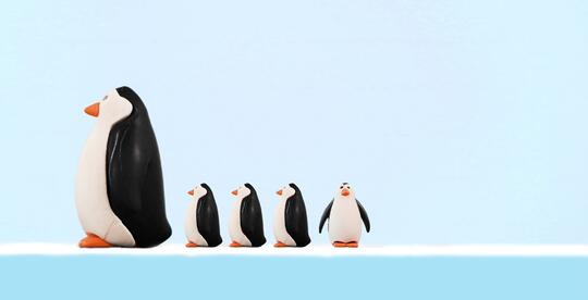Ini Lho 18 Spesies Penguin! Udah Tau Belum?