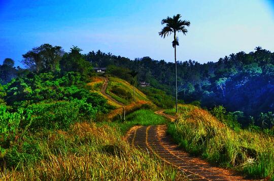 5 Destinasi Wisata Seru Di Bali