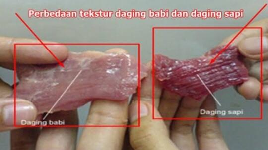 Terjawab, Alasan Kenapa Non Muslim Tidak Semua Menyukai Daging Babi