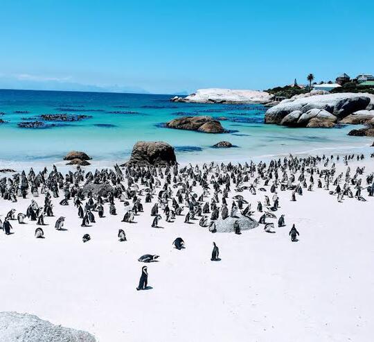 Yakin Sudah Tau? ini Dia 7 Pantai Unik Dengan Panorama Khas Menariknya di Dunia