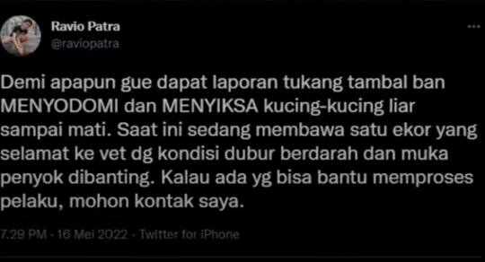 Heboh di Twitter Tukang Tambal Ban Diduga Sodomi Kucing, Apakah Bentuk Kelainan?