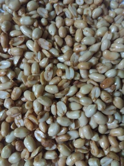 Bikin Kacang Bawang Sendiri Yuk, Dijamin Gurih Abis!