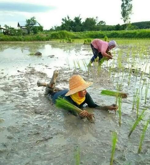 Apakah Negara Besar Seperti China, Bisa Mengikuti Jejak Srilanka! Alias Bangkrut?