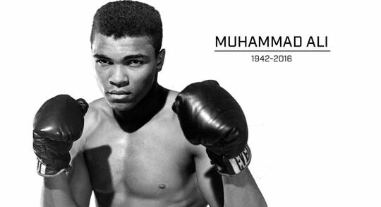 NICO ALI WALSH | CUCU SANG LEGENDA TINJU MUHAMMAD ALI