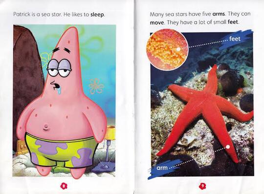 10 Hewan Asli Warga Bikini Bottom yang Ada di Dunia Nyata