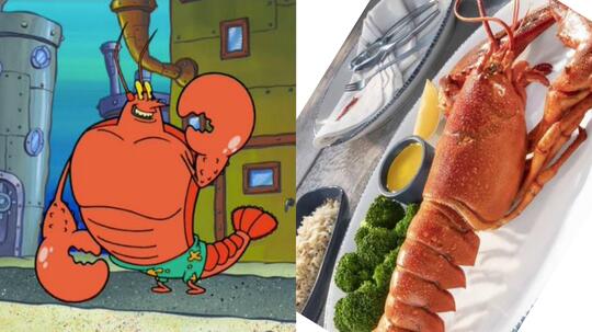 10 Hewan Asli Warga Bikini Bottom yang Ada di Dunia Nyata