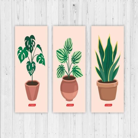 Rekomendasi Barang Unik Lucu dan Murah di Shopee, Cocok untuk Hadiah!