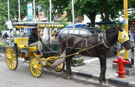 Kenapa Di Jogja Minim Angkot?