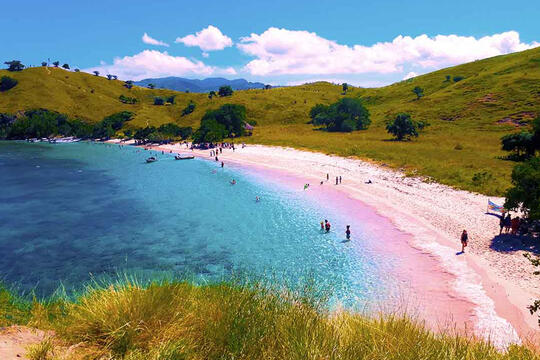 Indahnya Pantai Pink di Pulau Komodo