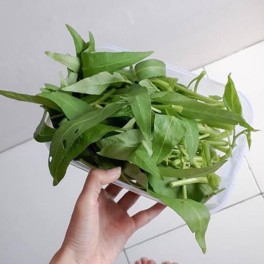 Ternyata Ini Alasan Kenapa Orang Bule Nolak Makan Kangkung?