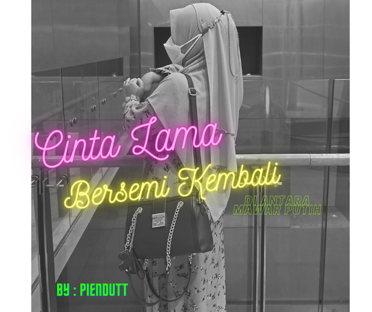 Cinta Lama Bersemi Kembali Di Antara Mawar Putih
