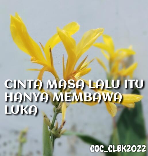 Cinta Masa Lalu Itu Hanya Membawa Luka