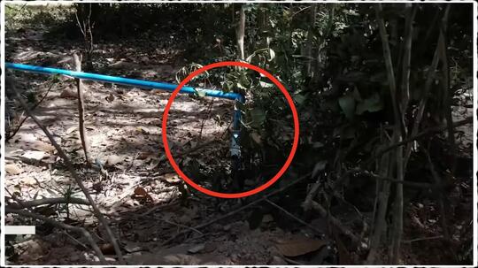 Terungkap! Bukti Kebohongan Di Balik Video Primitif Bikin Kolam