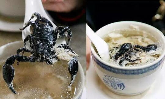 Sop Kalajengking Dan Kalajengking Krispi, Makanan Unik Asal Tiongkok. Berminat Coba?