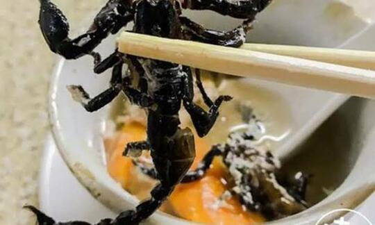 Sop Kalajengking Dan Kalajengking Krispi, Makanan Unik Asal Tiongkok. Berminat Coba?