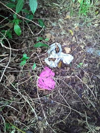 Sampah Celana Dalam, Banyak Ditemukan Di Gunung-Gunung!