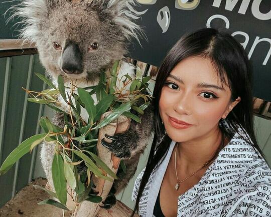 Dikira Imut dan Jinak, Wanita Ini Malah 'DISERANG' Seekor Koala Di Jalan ! Kok Bisa ?
