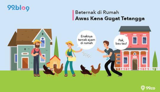 Lansia Menggugat Tetangganya Ke Pengadilan, Gara-Gara Ayam Miliknya Sering Berkokok!