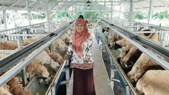 Mau Jadi Peternak Kambing? Ini Dia Beberapa Hal yang Harus Dipersiapkan Terlebih Dulu