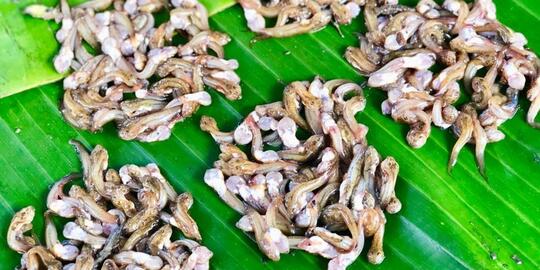 Street Food Di Thailand Bikin Ngeri Yang Mau Beli, Kamu Dah Pernah Coba!