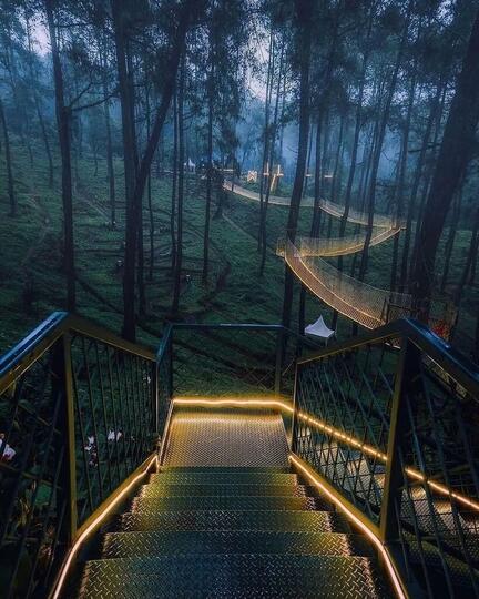 Keindahan taman wisata bandung orchid forest cikole