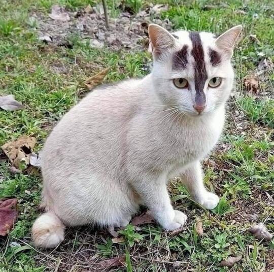 8 Hal Langka yang Telah Terekam Kamera dan Jarang Diketahui Banyak Orang