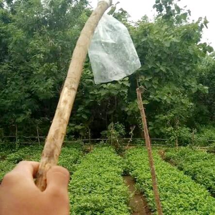 Ngebolang Versi Saia Zaman Bocil 90an, Kamu Ngalamin Juga?