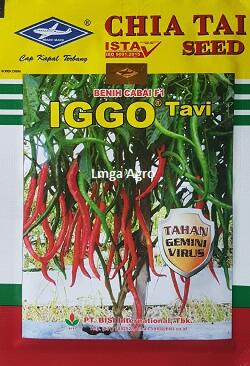 Benih Cabe Keriting IGGO Tavi Antivirus Terbaik Cap Kapal Terbang
