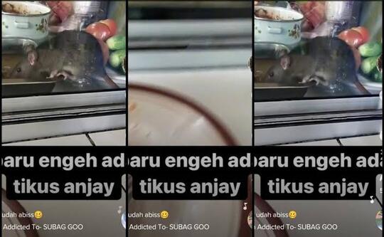 Sebuah Kedai Ditutup Paksa Gara-gara Ada Tikus di Etalase Makanan, Ini Jadi Pelajaran