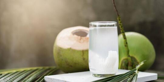 Bingung dari Mana Asalnya Air Kelapa? Berikut Ini Sekilas Penjelasan Ilmiahnya