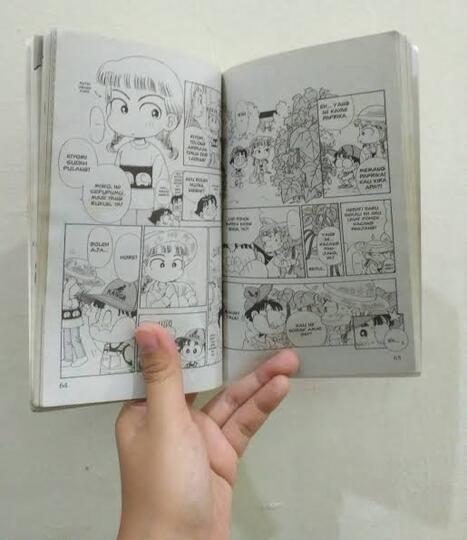 Kenapa Komik Hai Miiko Tidak Populer Di Jepang?