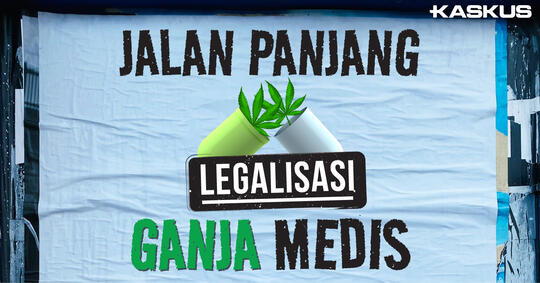 jalan-panjang-legalisasi-ganja-medis
