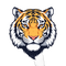 profile-picture