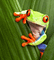 profile-picture